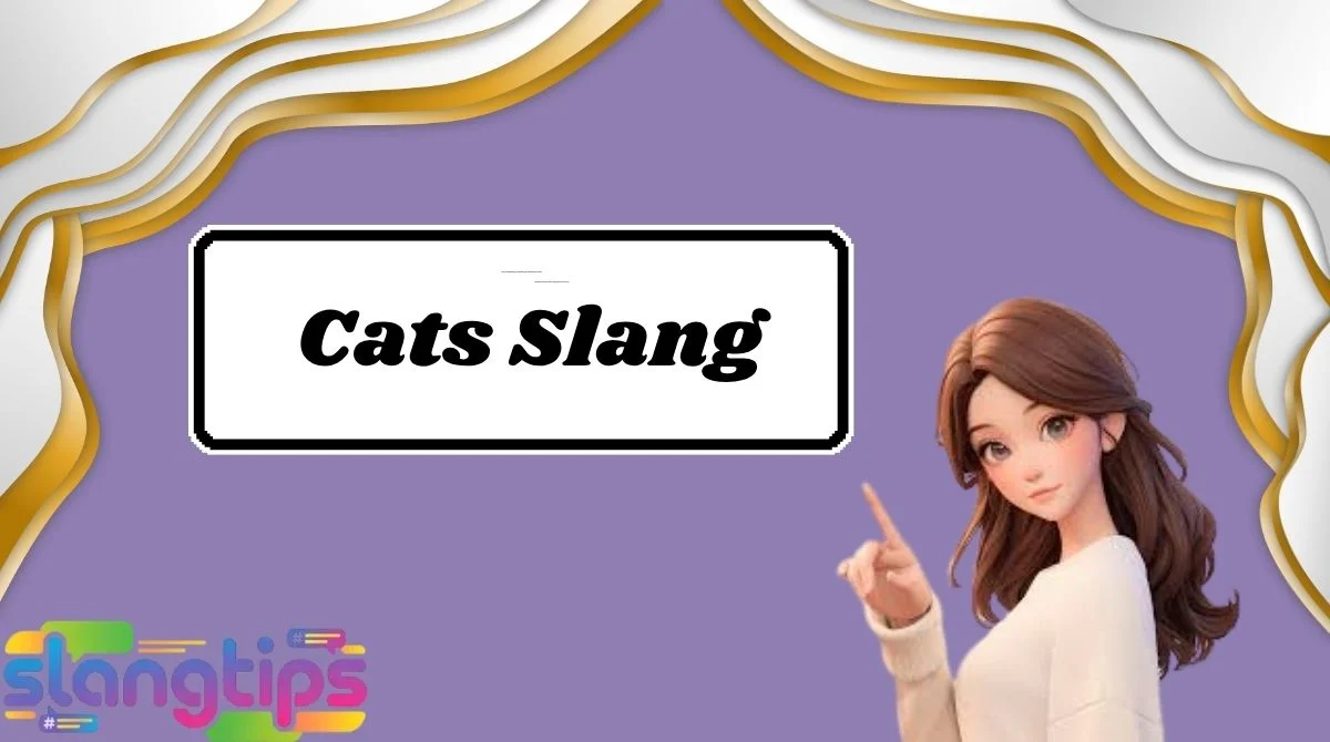 Cats Slang