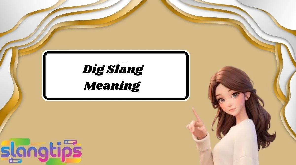 Dig Slang Meaning