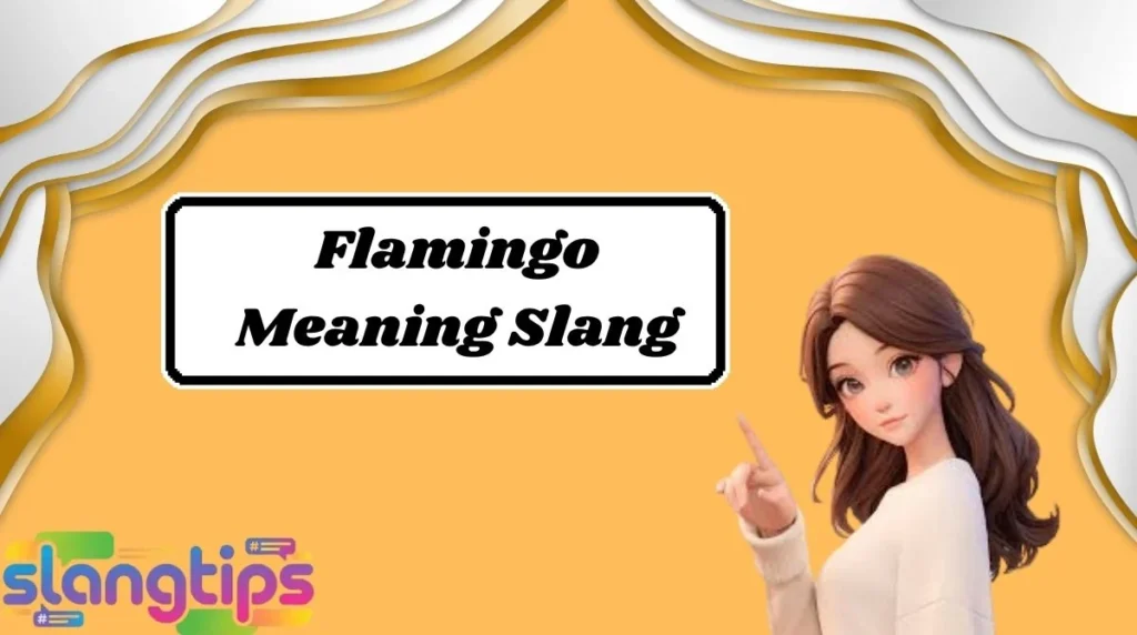 Flamingo Meaning Slang