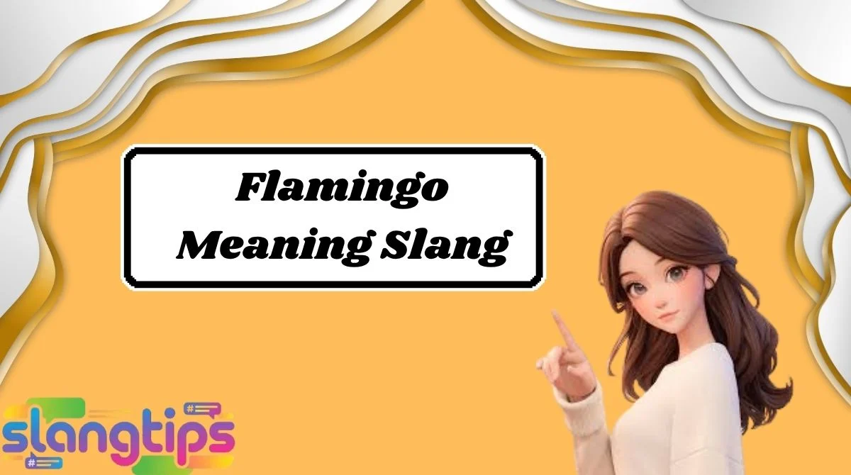 Flamingo Meaning Slang