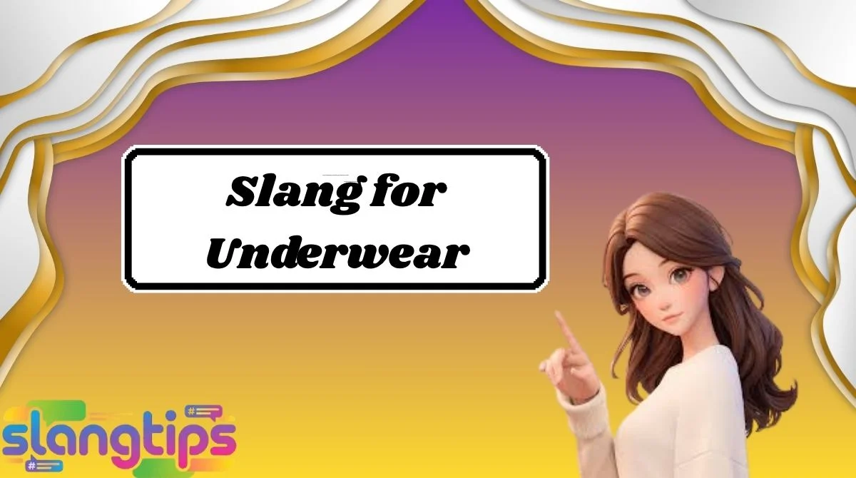Slang for Underwear