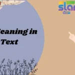 SS Meaning in Text