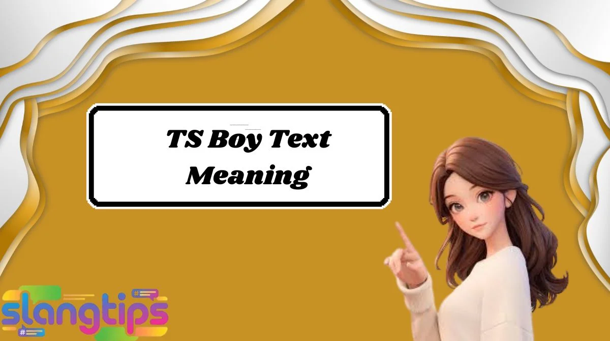 TS Boy Text Meaning